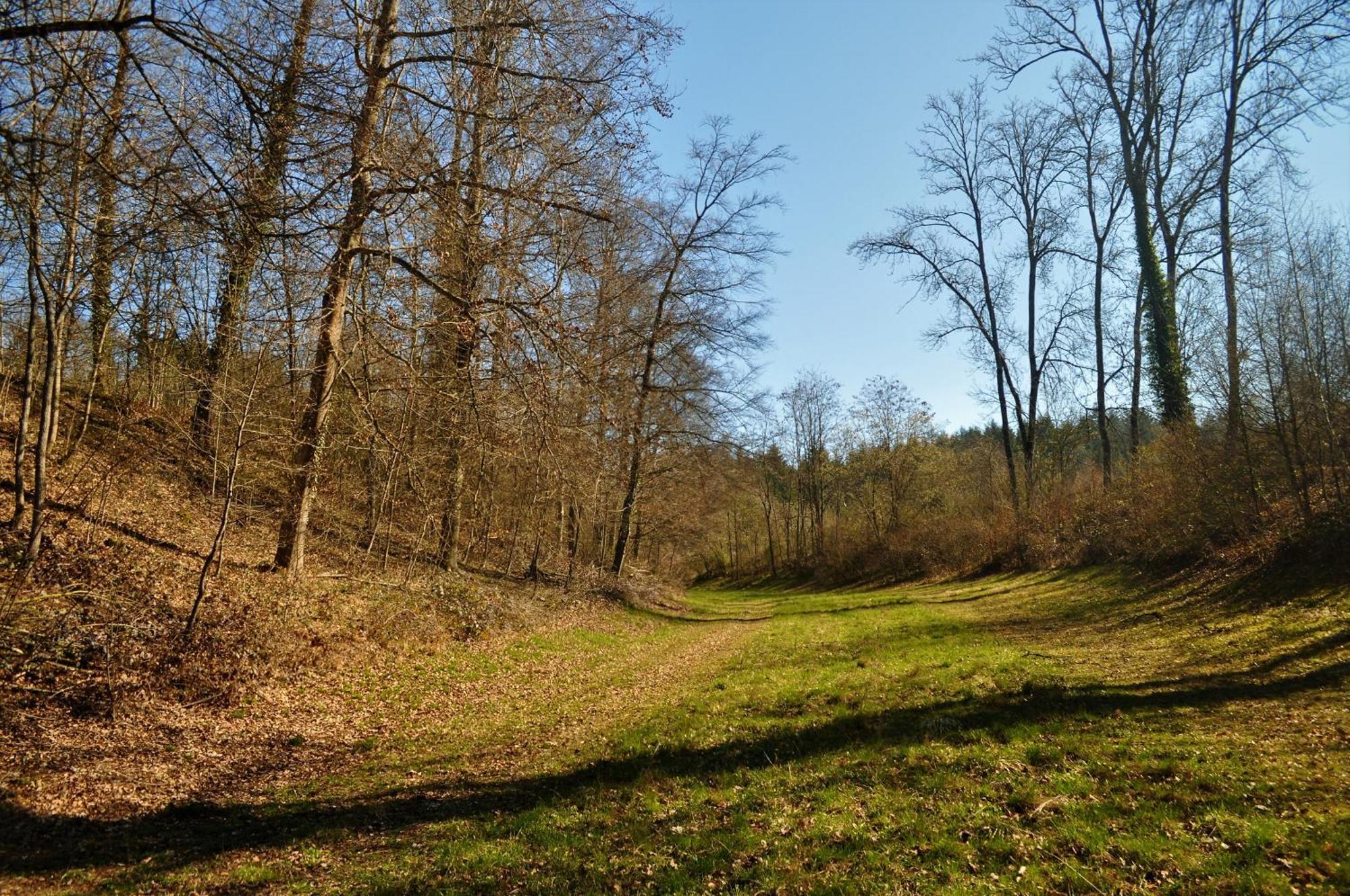 Domaine De Mont-Renaud Hotell Boncourt Eksteriør bilde